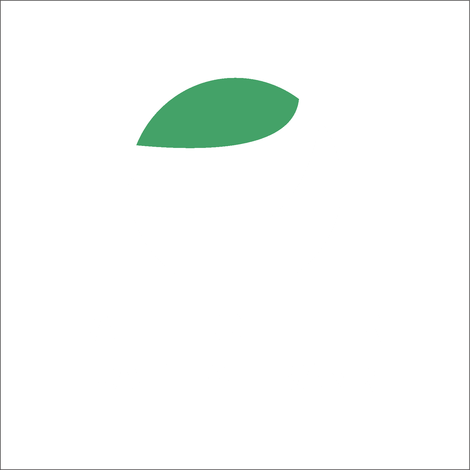 Alister Logo